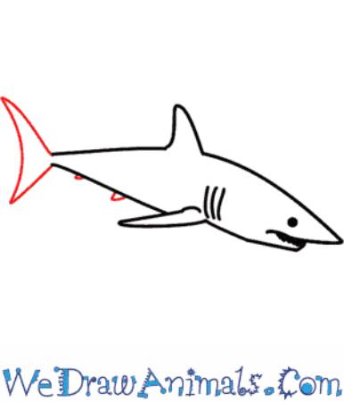 Diving Shark Sketch
