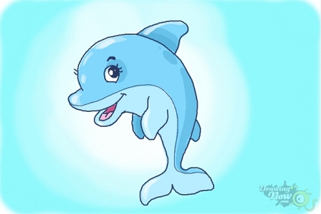 how to draw a baby dolphin