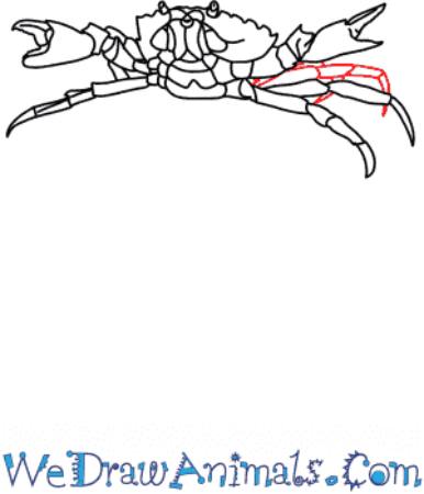 Epic Crab Sketch