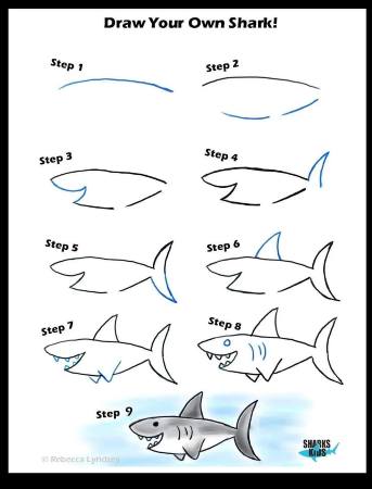 Jolly Shark Drawing