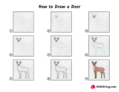 Majestic Deer Drawing