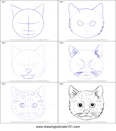 Realistic Kitten Face Sketch