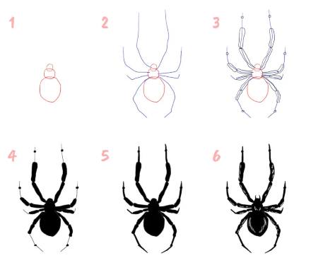 Scary Spider Drawing