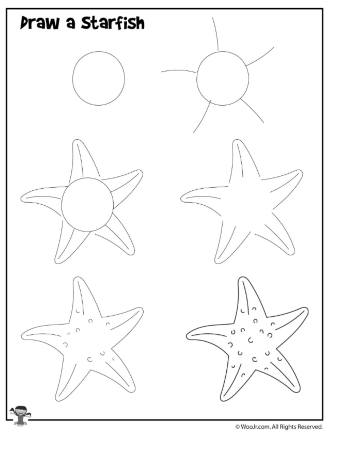 Cool Starfish Sketch