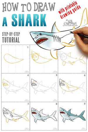 Shark with Sharp Teeth Drawing