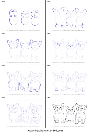 Three Kittens Sketch