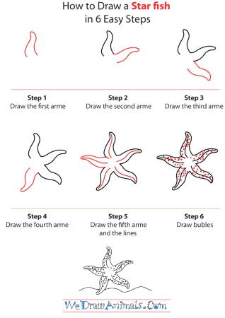 Awesome Starfish Sketch