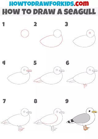 Cute Seagull Drawing
