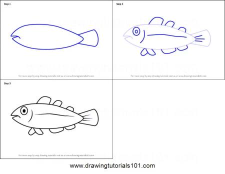Easy Fish Sketch