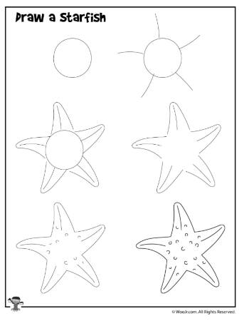 Easy Starfish Sketch