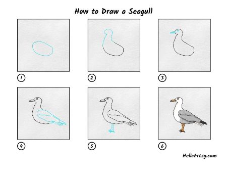 Epic Seagull Sketch