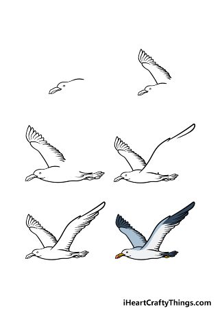 Flying Seagull Drawing