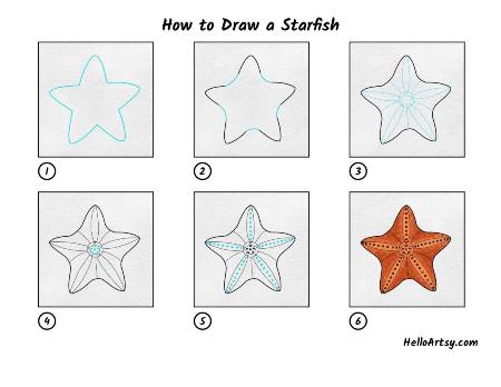 Incredible Starfish Drawing