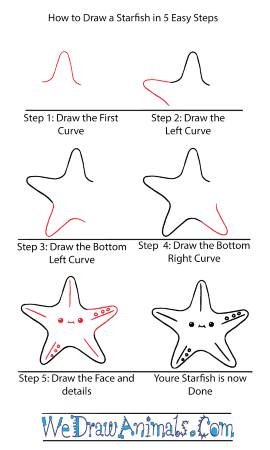 Kawaii Starfish Sketch