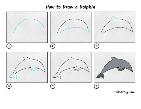 Magnificent Dolphin Drawing